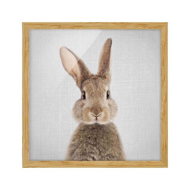 Billeder moderne Hare Hilbert