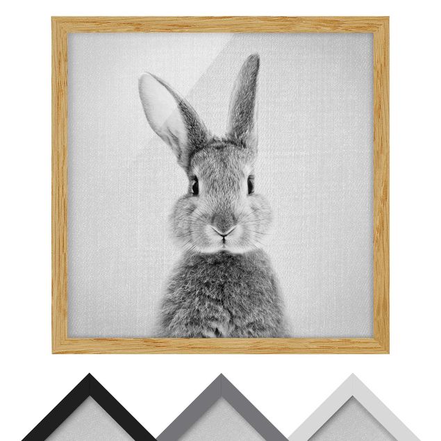 Billeder Gal Design Hare Hilbert Black And White