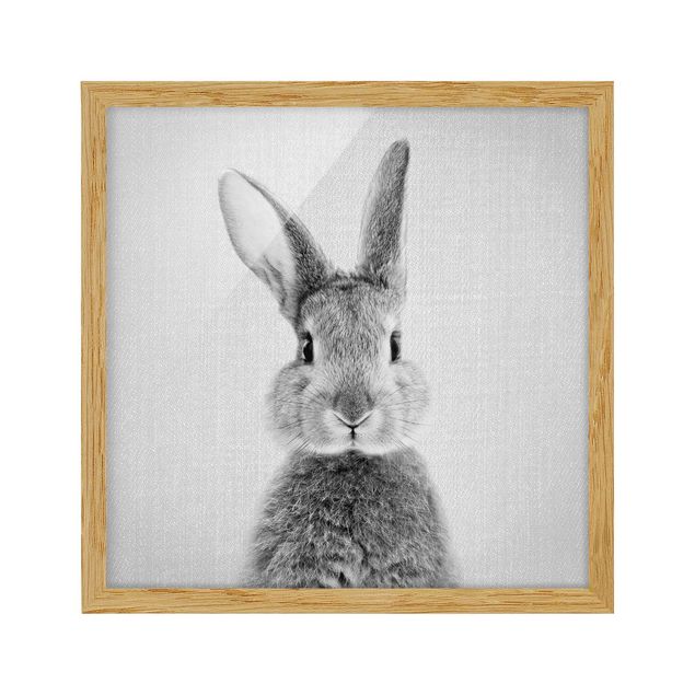 Billeder moderne Hare Hilbert Black And White