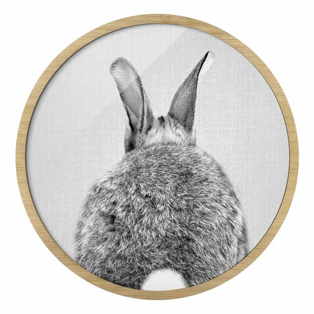 Billeder moderne Hare From Behind Black And White