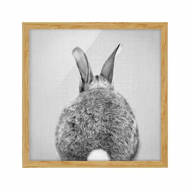 Billeder moderne Hare From Behind Black And White