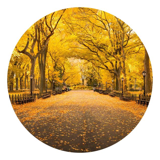 Tapet Autumn In Central Park