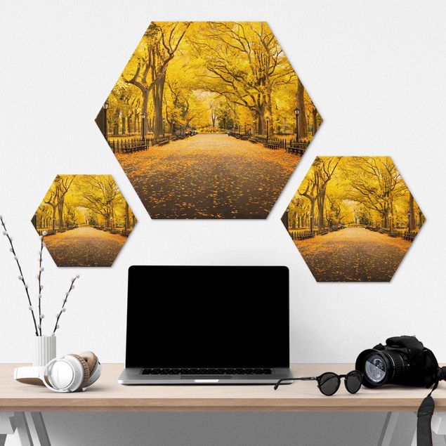 Hexagon Bild Alu-Dibond - Herbst im Central Park