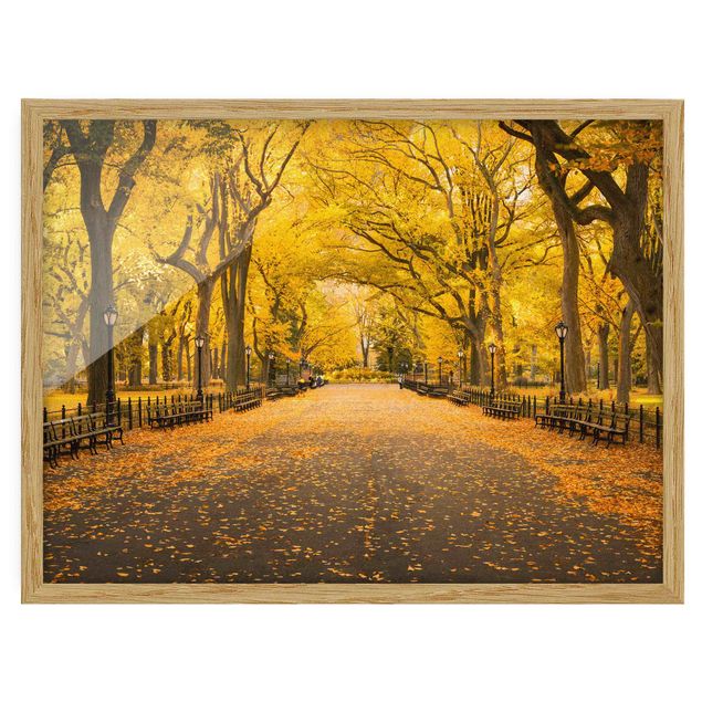 Billeder moderne Autumn In Central Park