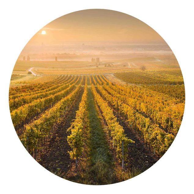 Fototapet landskaber Autumnal Vineyards Near Vienna