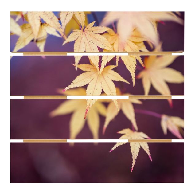Prints på træ Autumn Maple Tree