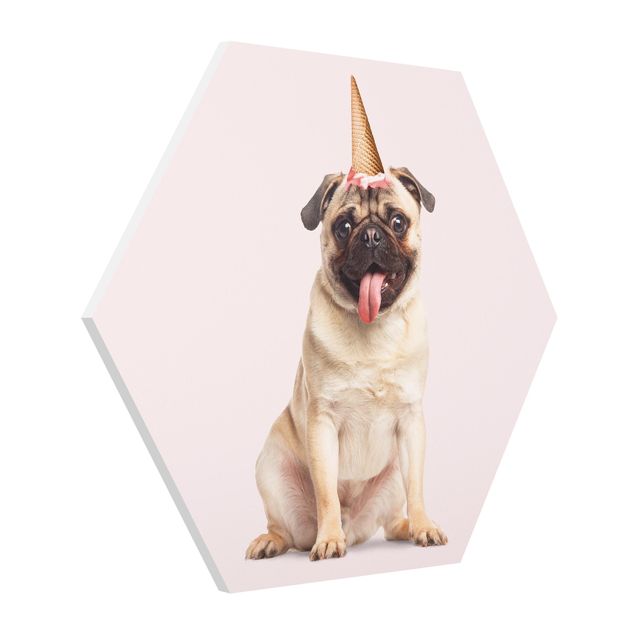 Billeder moderne Pug With Ice-Cream Cone