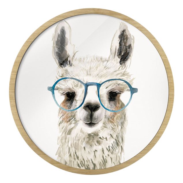 Billeder dyr Hip Lama With Glasses Ill