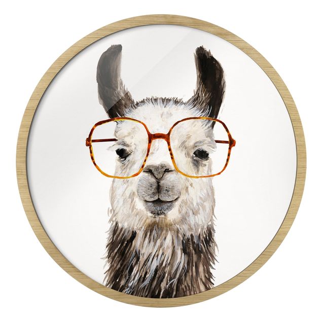 Billeder dyr Hip Lama With Glasses IV