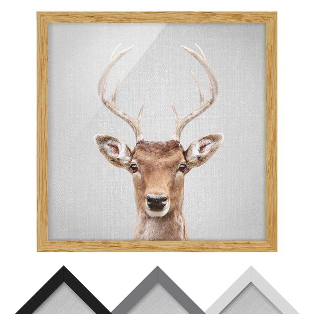 Billeder sort og hvid Deer Heinrich