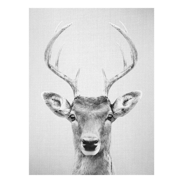 Billeder moderne Deer Heinrich Black And White