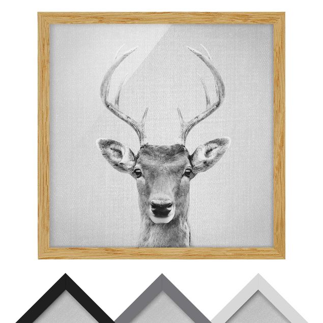 Billeder sort og hvid Deer Heinrich Black And White