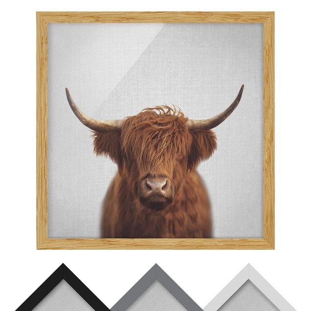 Billeder Gal Design Highland Cow Harry