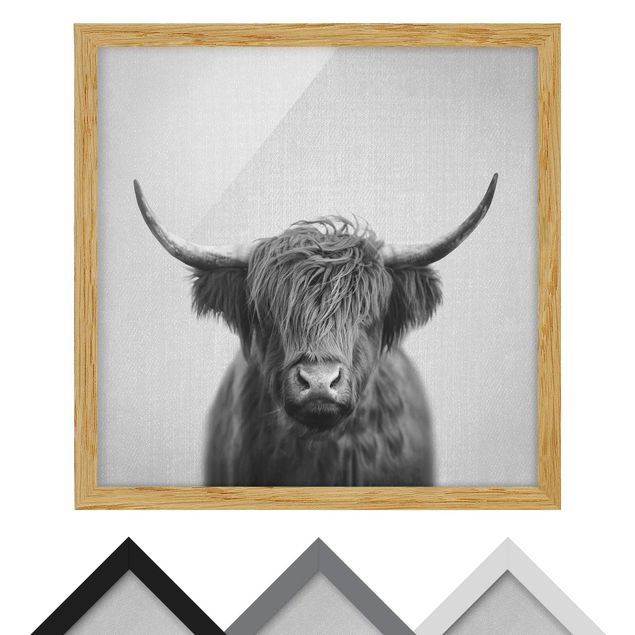 Billeder Gal Design Highland Cow Harry Black And White