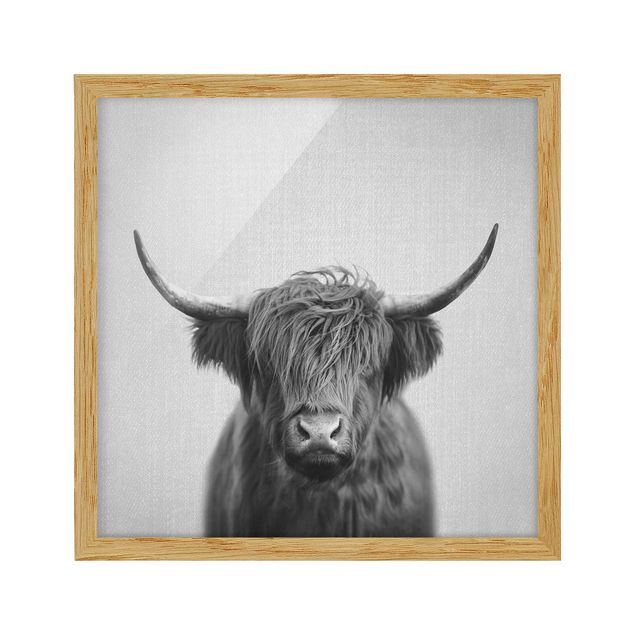 Billeder moderne Highland Cow Harry Black And White
