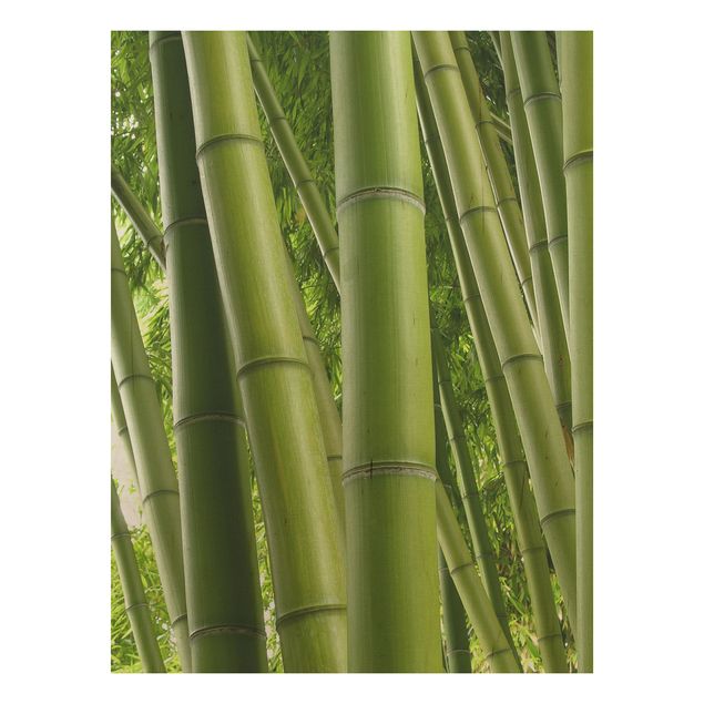 Prints på træ blomster Bamboo Trees No.1