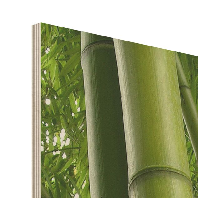 Prints på træ Bamboo Trees No.1