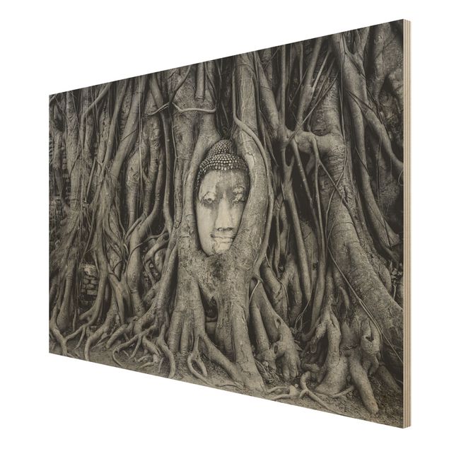 Prints på træ blomster Buddha In Ayutthaya Lined From Tree Roots In Black And White