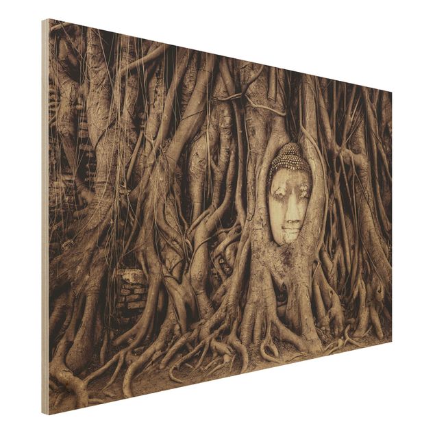 køkken dekorationer Buddha In Ayutthaya Lined From Tree Roots In Brown