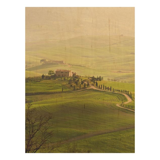Prints på træ landskaber Chianti Tuscany