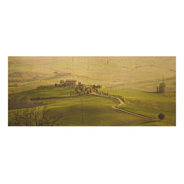 Prints på træ landskaber Chianti Tuscany