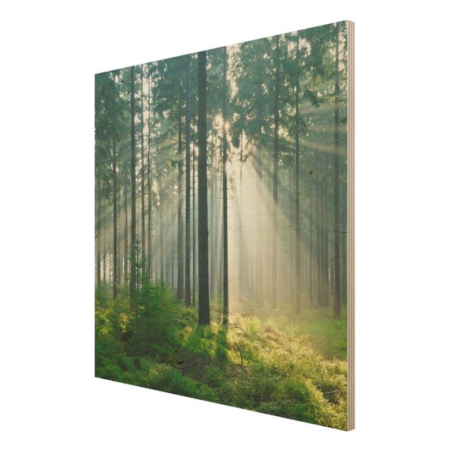 Prints på træ landskaber Enlightened Forest