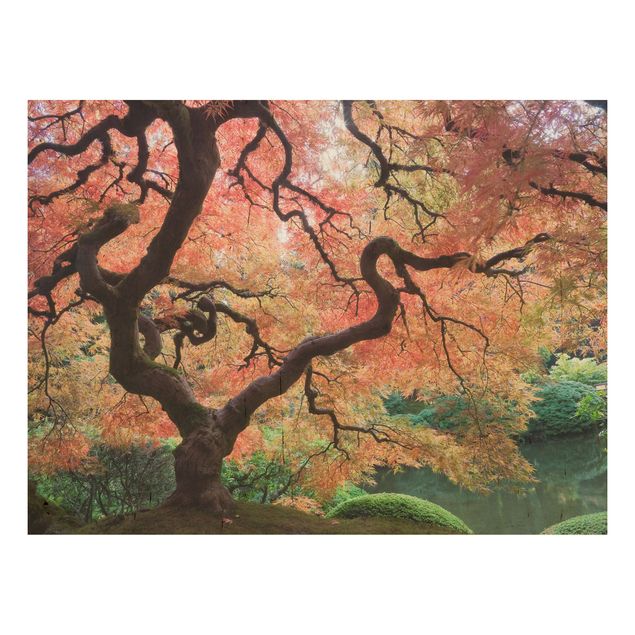 Prints på træ blomster Japanese Garden