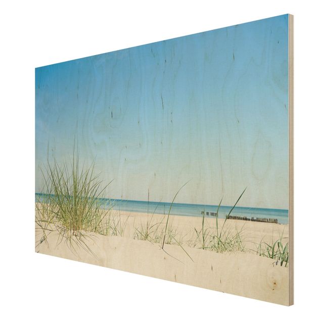 Prints på træ strande Baltic Sea Coast