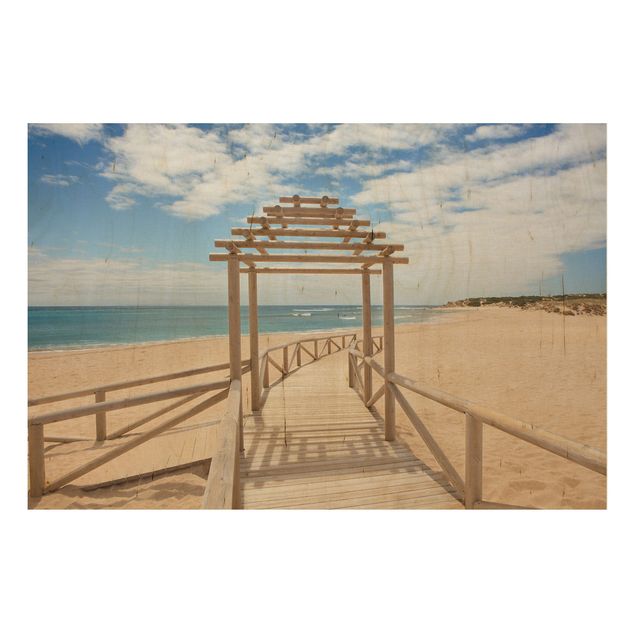 Prints på træ landskaber Beach Path To The Sea In Andalusia