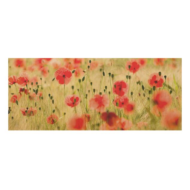 Prints på træ blomster Summer Poppies