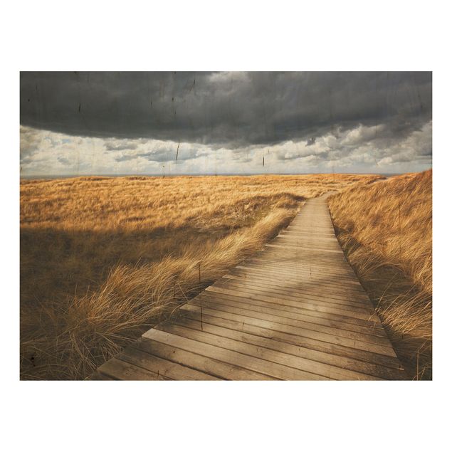 Prints på træ landskaber Path Between Dunes