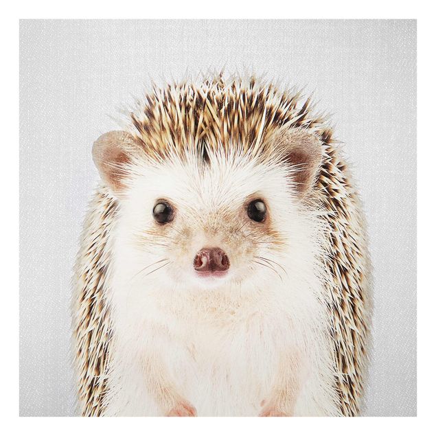 Billeder moderne Hedgehog Ingolf