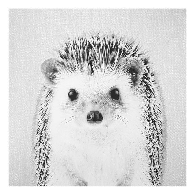 Billeder moderne Hedgehog Ingolf Black And White