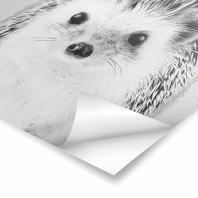 Billeder Gal Design Hedgehog Ingolf Black And White