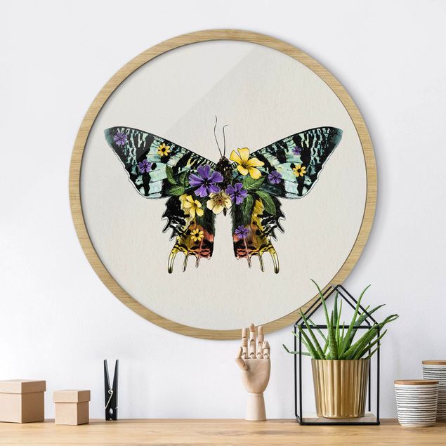 Billeder sommerfugle Illustration Floral Madagascan Butterfly