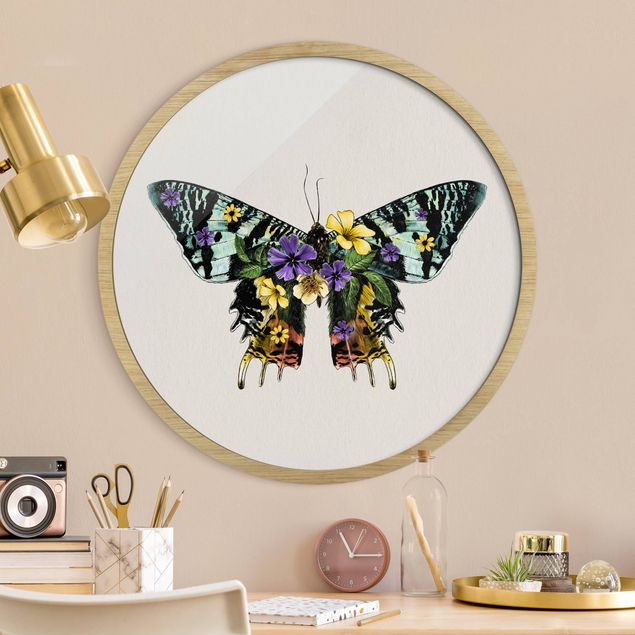 Rund billeder Illustration Floral Madagascan Butterfly