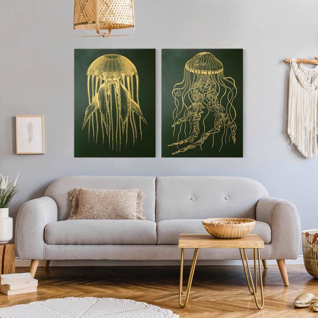 Billeder fisk Illustration Jellyfish Duo