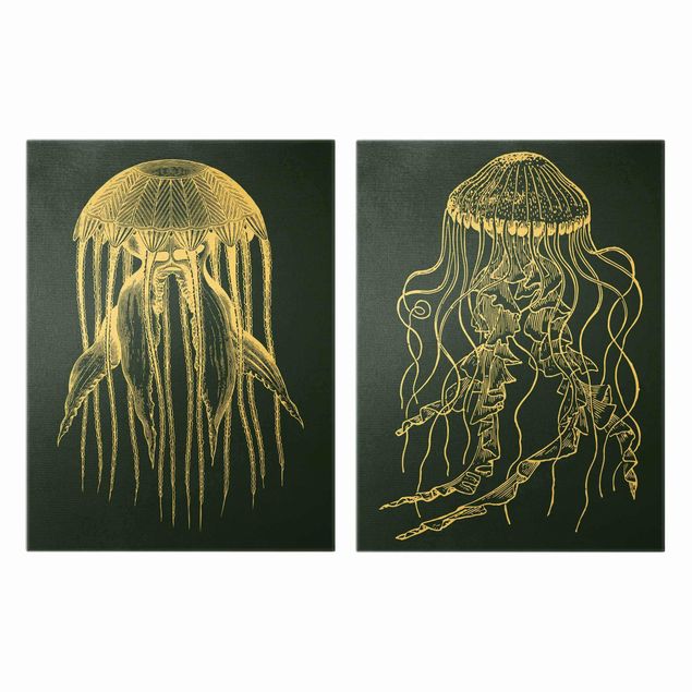 Billeder strande Illustration Jellyfish Duo