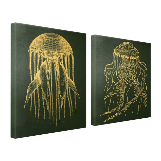Billeder hav Illustration Jellyfish Duo