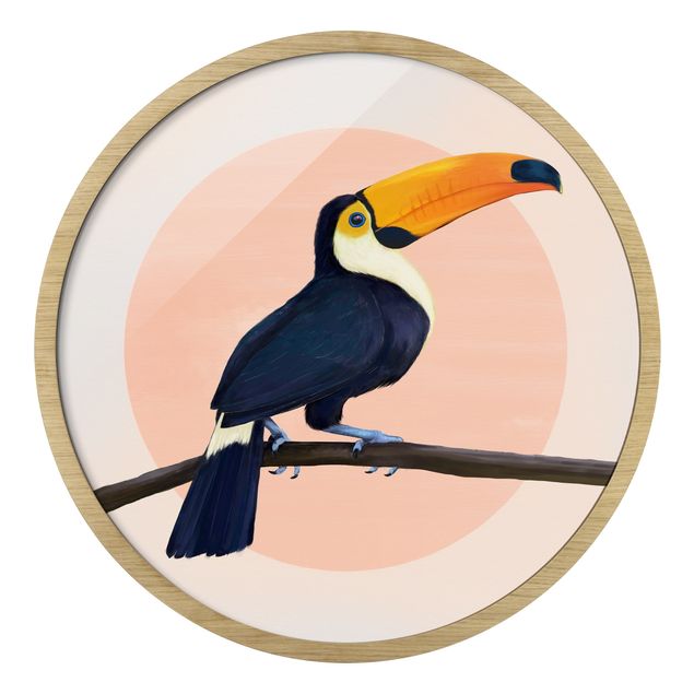 Billeder lyserød Illustration Bird Toucan Painting Pastel