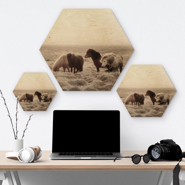 Hexagon Bild Holz - Island Wildpferde