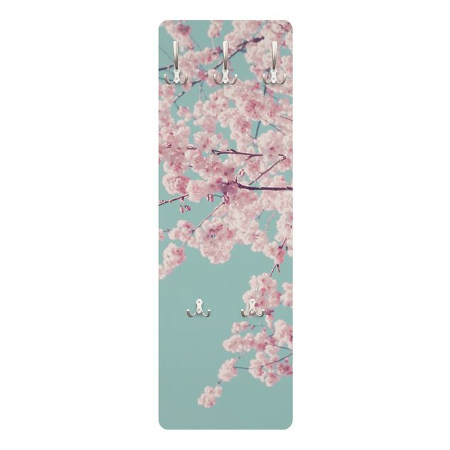 Billeder Monika Strigel Japanese Cherry Blossoms