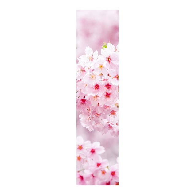 Panelgardiner blomster Japanese Cherry Blossoms