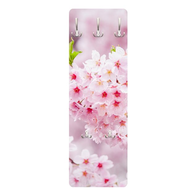 Knagerækker Japanese Cherry Blossoms