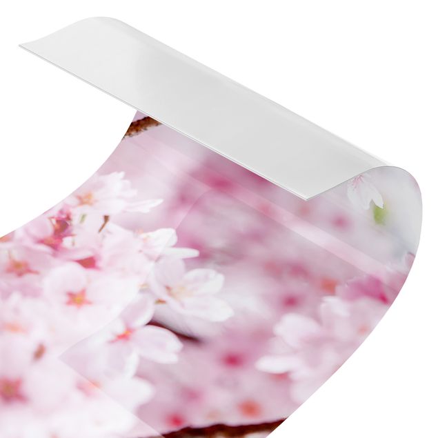 Selvklæbende folier Japanese Cherry Blossoms