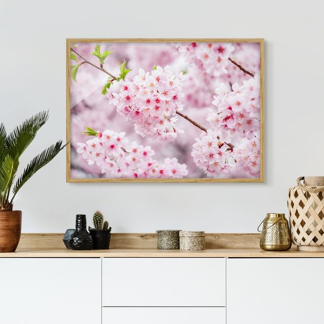 køkken dekorationer Japanese Cherry Blossoms