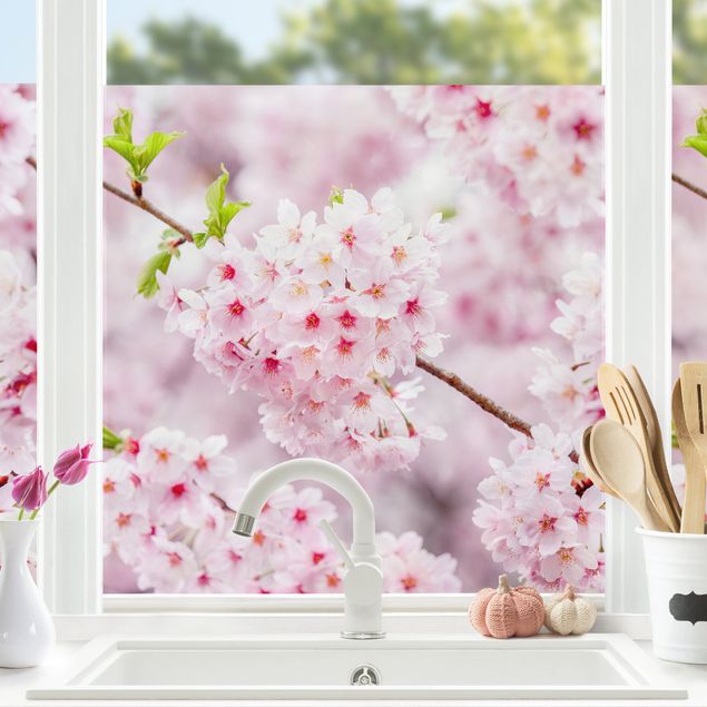 Vinduesklistermærker blomster Japanese Cherry Blossoms