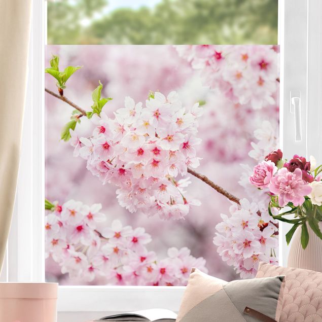 Selvklæbende folier Japanese Cherry Blossoms