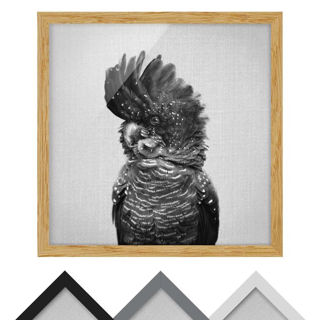 Billeder Gal Design Cockatoo Kanye Black And White
