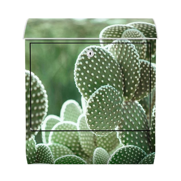 Postkasser grøn Cacti